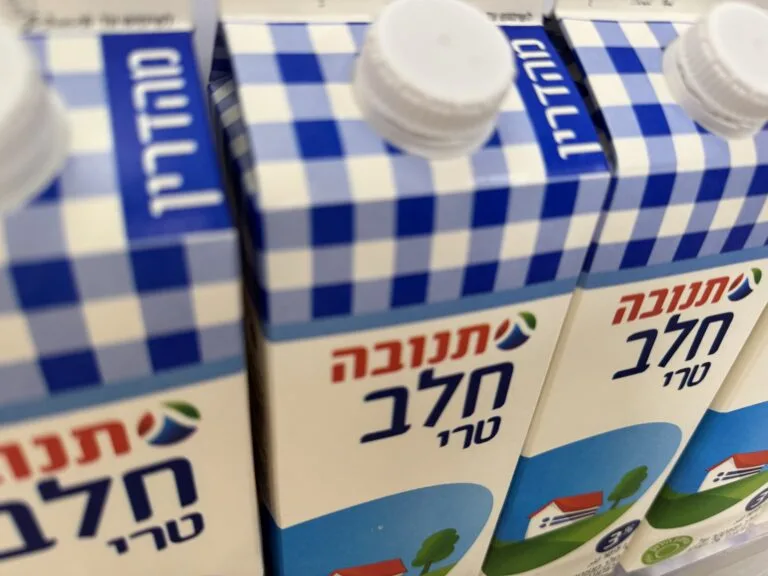 חלב תנובה. צילום: שטריימל דוט קום