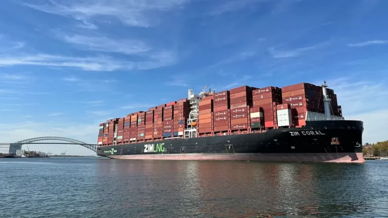 אונייה של צים. צילום: צים ספנות