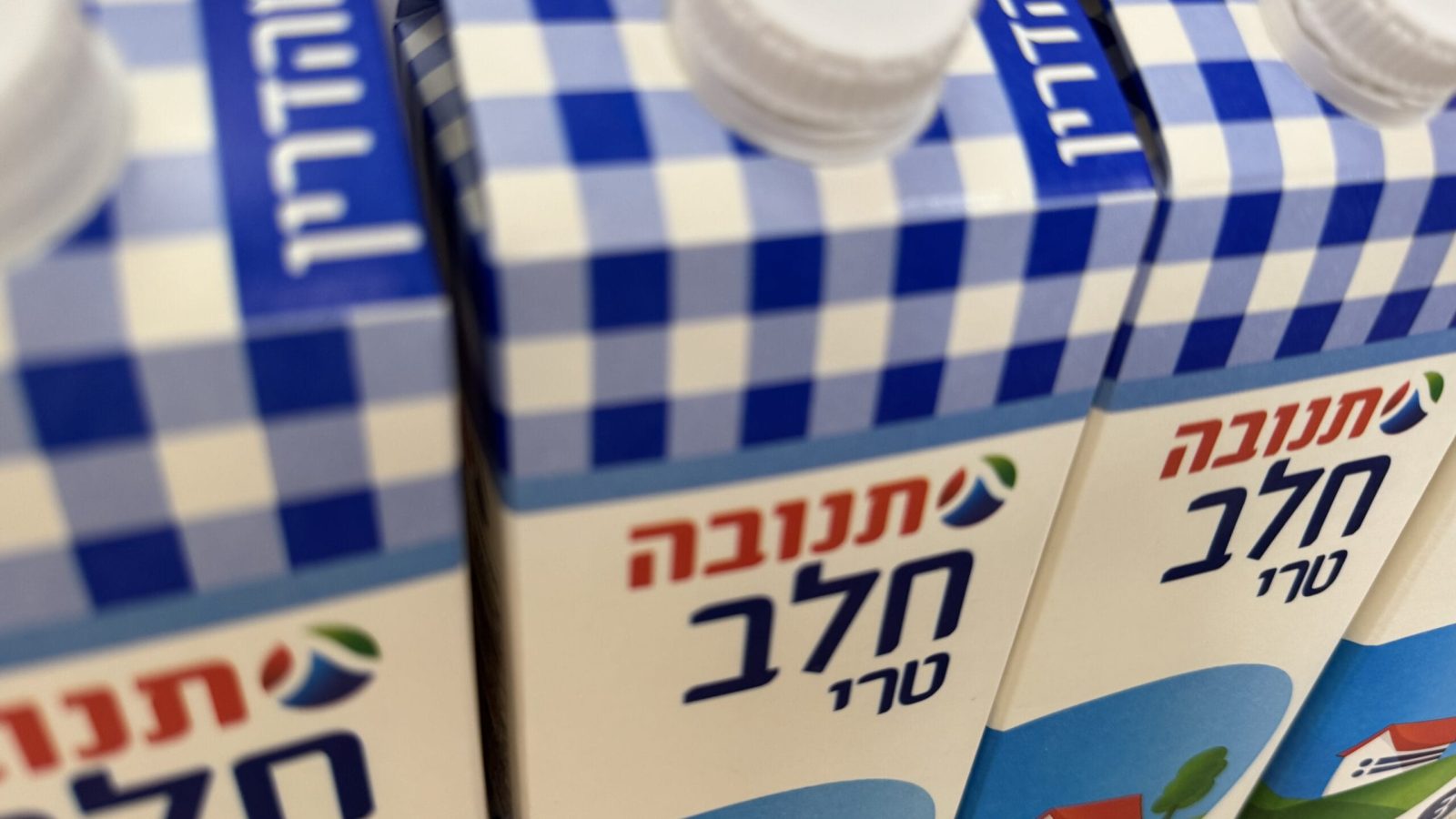 חלב תנובה. צילום: שטריימל דוט קום